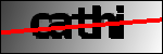 Text der identifiziert werden soll